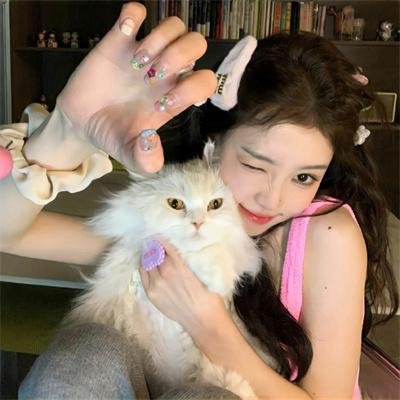 肥猪